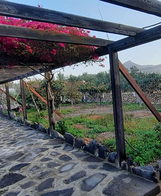 alojamiento-fuerteventura-con-ninos-pergola