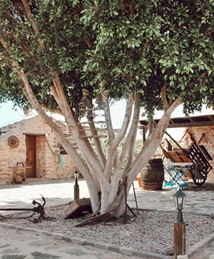 rural-house-fuerteventura-laurel-casas-rurales